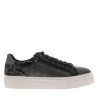 Anthracite