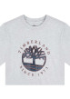 Thumbnail T-shirt en coton gris uni avec le logo iconique et une coupe droite - Image 3