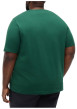 Thumbnail T-shirt en coton vert à coupe ajustée pourvu d'un col rond et de manches courtes - Image 3