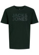Thumbnail T-shirt en coton biologique sapin uni avec une coupe droite et un col rond