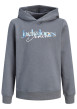 Thumbnail Sweat gris à imprimé avec une coupe droite et un col à capuche