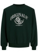 Thumbnail Sweat en coton mélangé vert à imprimé avec une coupe droite et un col rond