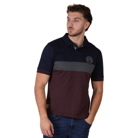 Polo en coton biologique marine uni avec une...
