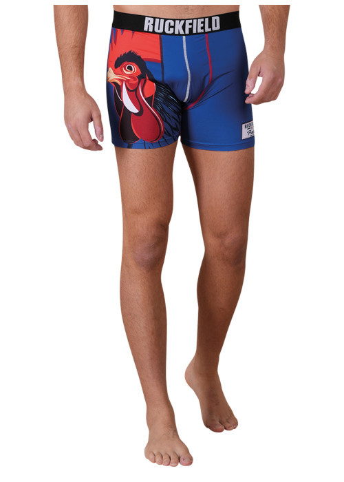 Lot de 2 Boxers bleus avec des imprimés munis...
