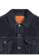 Thumbnail Blouson en coton anthracite à coupe ajustée pourvu d'un col à revers - Image 2