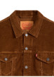 Thumbnail Blouson en coton brun à coupe ajustée pourvu d'un col à revers - Image 2