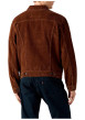 Thumbnail Blouson en coton brun à coupe ajustée pourvu d'un col à revers - Image 4
