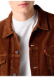 Thumbnail Blouson en coton brun à coupe ajustée pourvu d'un col à revers - Image 5