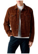 Thumbnail Blouson en coton brun à coupe ajustée pourvu d'un col à revers - Image 6
