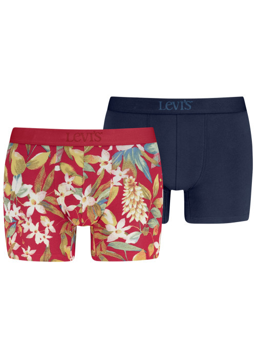 Lot de 2 boxers classiques en coton bleu et...