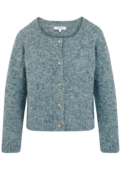 Gilet gris clair uni avec une coupe droite et des manches longues