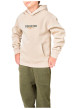 Thumbnail Sweat beige uni à coupe droite avec un col à capuche et un logo brodé