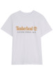 Thumbnail T-shirt en coton blanc imprimé à coupe droite doté d'un col rond
