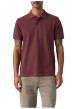 Thumbnail Polo en coton bordeaux à coupe droite pourvu d'un col à revers boutonné - Image 6