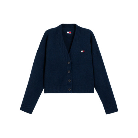 Gilet marine coupe ajustée pourvu d'un col v et...