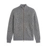 Gris