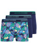 Thumbnail Lot de 3 boxers en coton biologique multicolores pourvus d'une taille élastiquée
