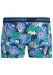 Thumbnail Lot de 3 boxers en coton biologique multicolores pourvus d'une taille élastiquée - Image 2