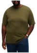 Thumbnail T-shirt kaki uni en coton biologique avec une coupe droite et un col rond - Image 2