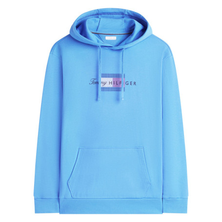 Sweat à capuche bleu uni en coton biologique...