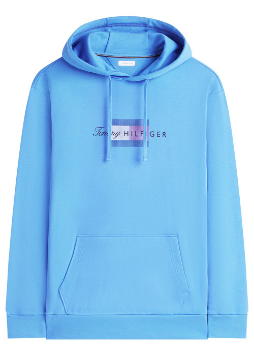 Sweat à capuche bleu uni en coton biologique...