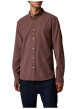 Thumbnail Chemise en coton prune munie d'une coupe droite et d'un col boutonné