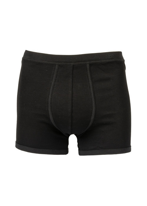 Boxer noir
