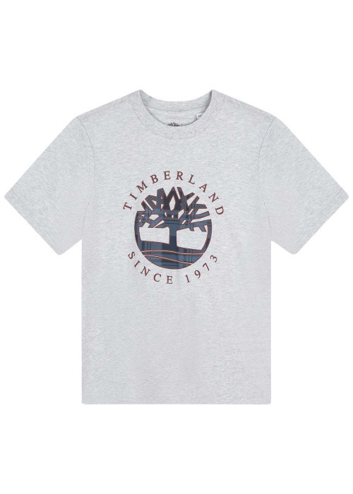T-shirt en coton gris uni avec le logo iconique et une coupe droite