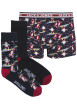 Thumbnail Coffret de Noël chaussettes et boxer en coton bleus nuit à motifs père Noël