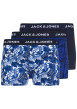 Thumbnail Lot de 3 boxers classiques en coton bleus à imprimé tropical et fleuri