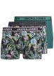 Thumbnail Lot de 3 boxers classiques en coton verts à coupe fermée et à imprimé tropical