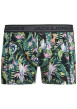 Thumbnail Lot de 3 boxers classiques en coton verts à coupe fermée et à imprimé tropical - Image 4