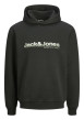 Thumbnail Sweat à capuche noir uni à coupe droite avec nom de la marque à la poitrine