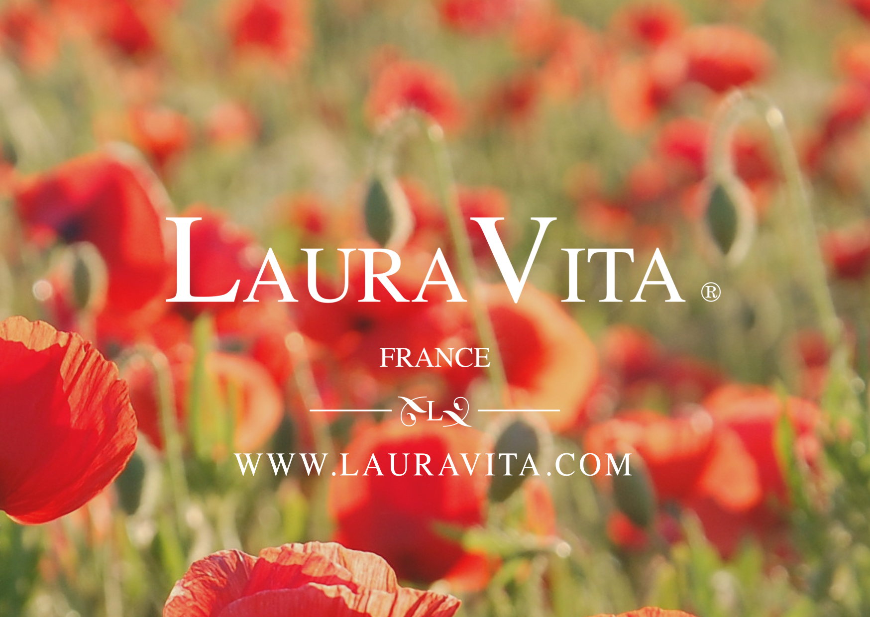 Laura Vita