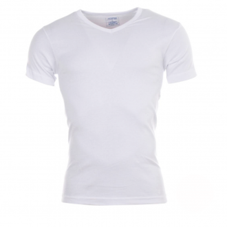 Lot de 2 Tee-shirts col V blanc coton bio