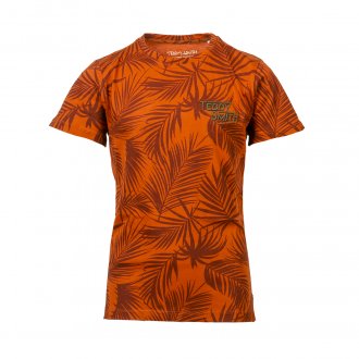 Tee-shirt col rond Teddy Smith Junior T-Luc en coton orange à motifs feuilles marron