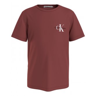 T-shirt col rond Junior Garçon Calvin Klein en coton rouille