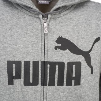Sweat à capuche Junior Garçon Puma à manches longues gris