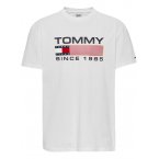 T-shirt col rond Tommy Hilfiger en coton avec manches courtes blanc