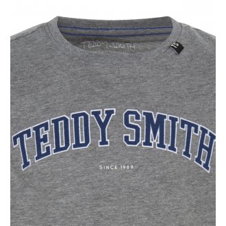 T-shirt Junior Garçon Teddy Smith FELI en coton mélangé gris chiné avec logo imprimé