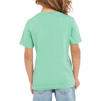 T-shirt Junior Garçon avec manches courtes et col rond Calvin Klein coton vert