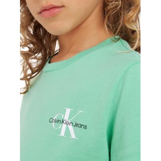 T-shirt Junior Garçon avec manches courtes et col rond Calvin Klein coton vert
