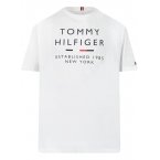 T-shirt col rond Junior Garçon Tommy Hilfiger en coton avec manches courtes blanc