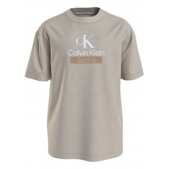 T-shirt Calvin Klein coton avec manches courtes et col rond beige