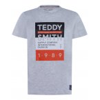 Tee-shirt col rond Teddy Smith Junior en coton gris