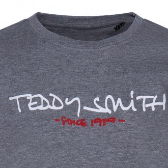 Sweat à logo Teddy Smith Junior en coton gris